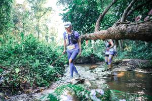 BIB: 
                            <button type="button" onclick="openModal(25436704)" class="btn btn-primary btn-sm float-right btn-popup" data-toggle="modal" data-target=".modal-high-quality">
                        <i class="fas fa-shopping-cart"></i> Add to Cart
                    </button>
                                            <button type="button" onclick="isThisMe(25436704, true)" class="btn btn-success btn-sm float-right btn-popup btn-isme hidden" data-toggle="tooltip" data-placement="bottom" title="นี่คือรูปของคุณใช่ไหม คลิกที่นี่เพื่อเอาเข้าอัลบั้ม">
                        <i class="fas fa-plus"></i> Add to album
                    </button>
                    <button type="button" onclick="isThisMe(25436704, false)" class="btn btn-warning btn-sm float-right btn-popup btn-isnotme hidden">
                        <i class="fas fa-ban"></i> Remove from album
                    </button>